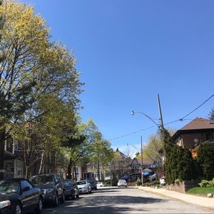 Meet your Posher, Ann